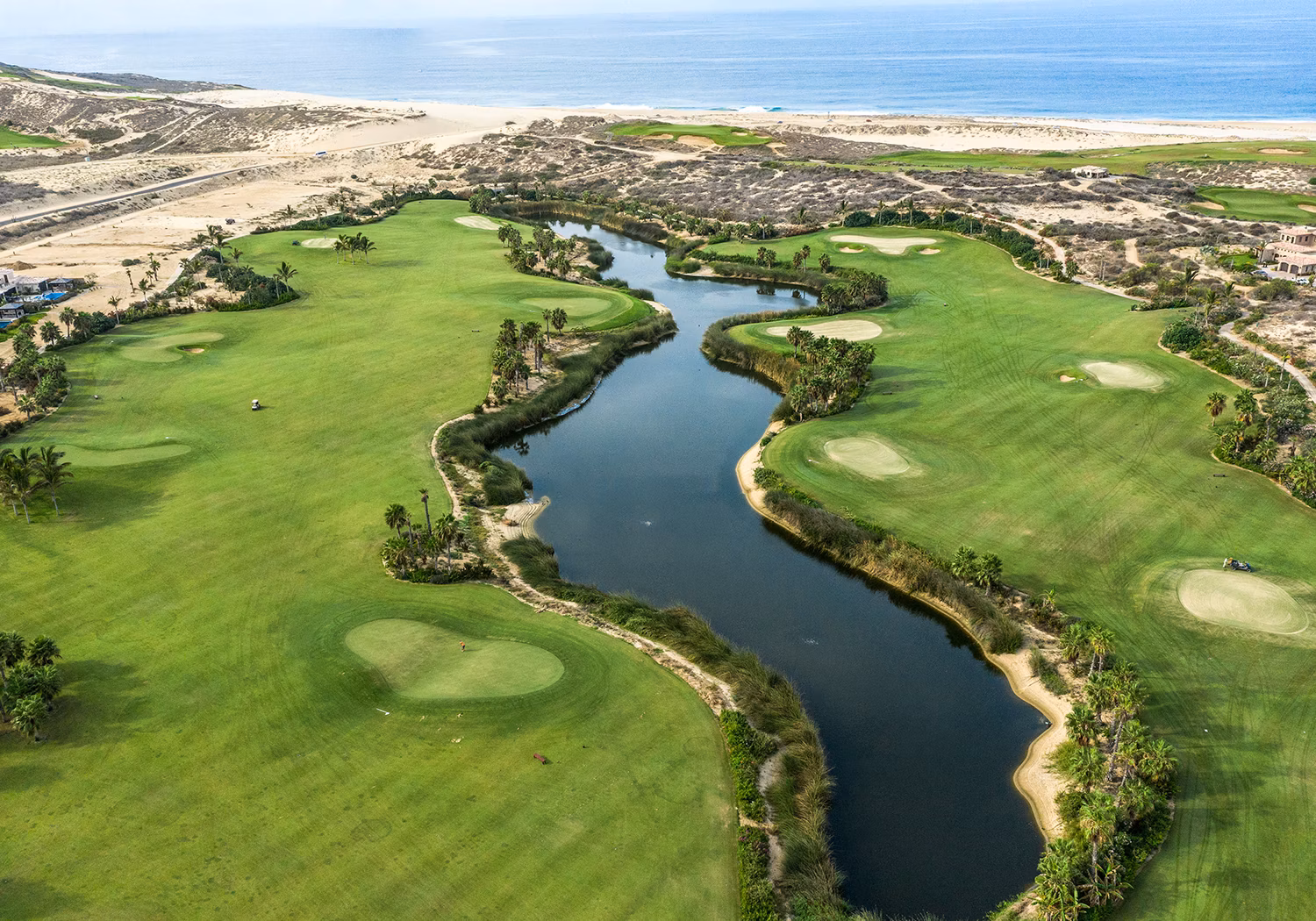 Golfer on a links-style dunes hole with the Pacific Ocean beyond, Diamante golf lifestyle, Cabo San Lucas