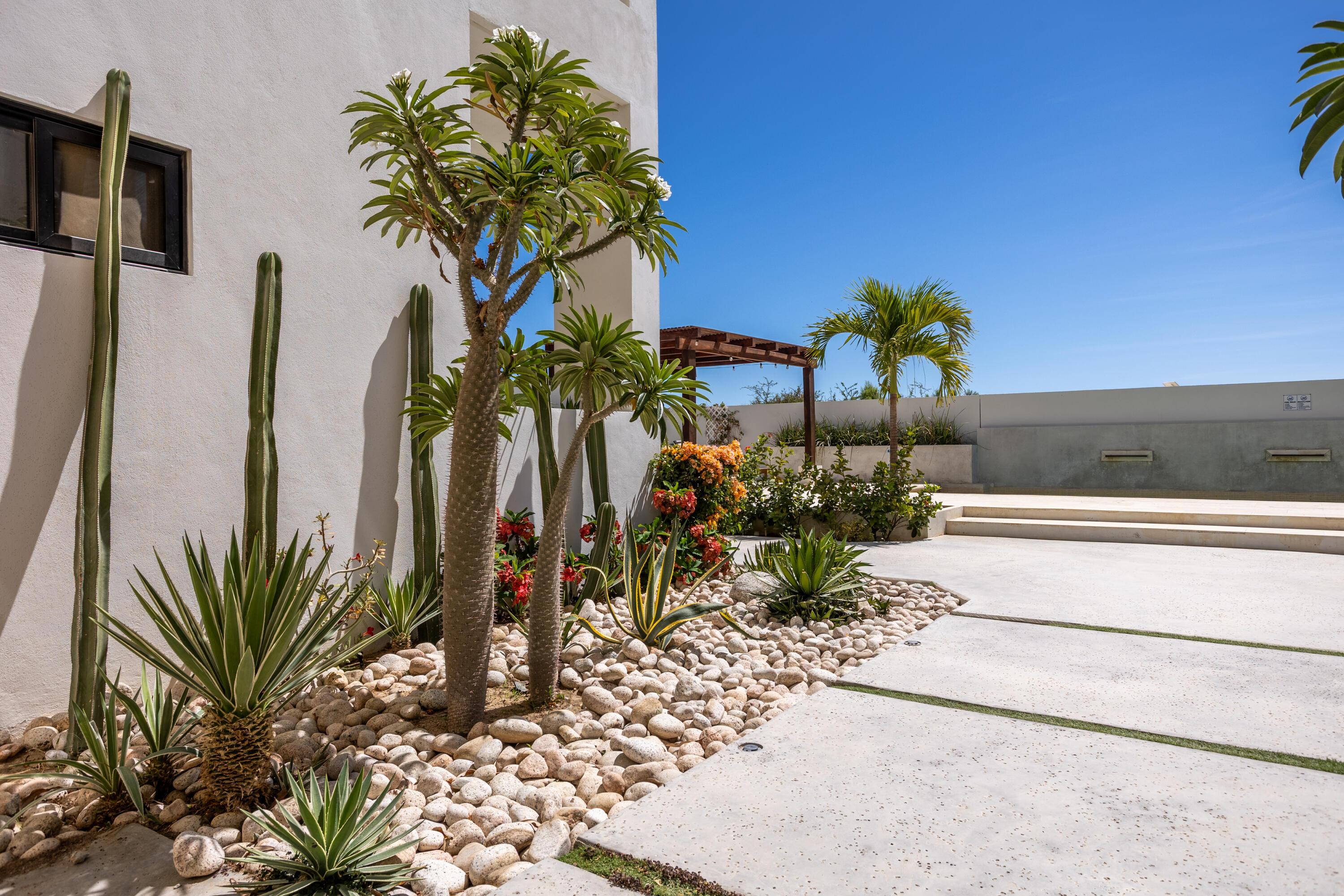 Sn Callejon Barracuda, Carpe Diem Condo, East Cape