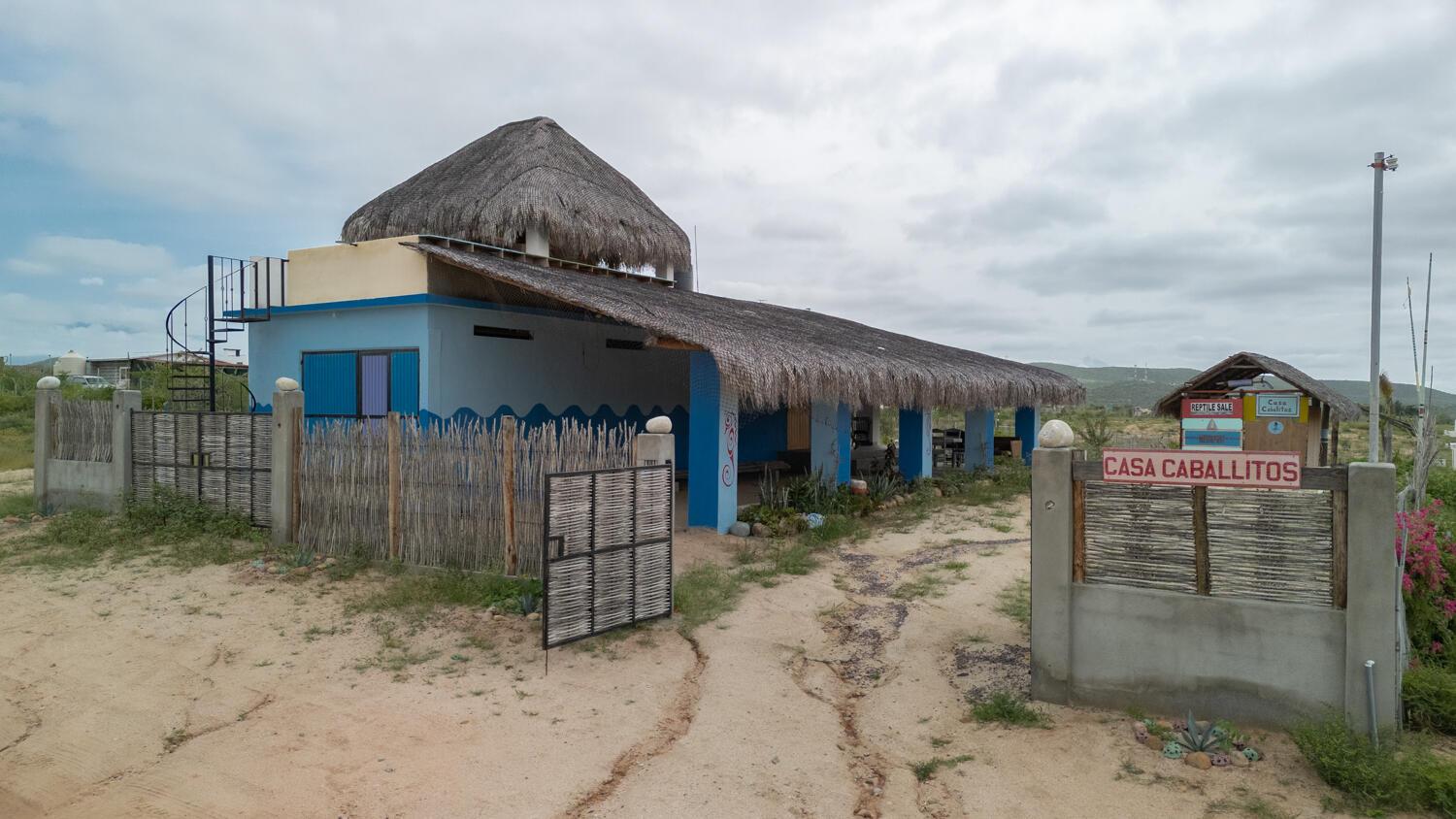 Todos Santos, Casa Caballitos, Pacific