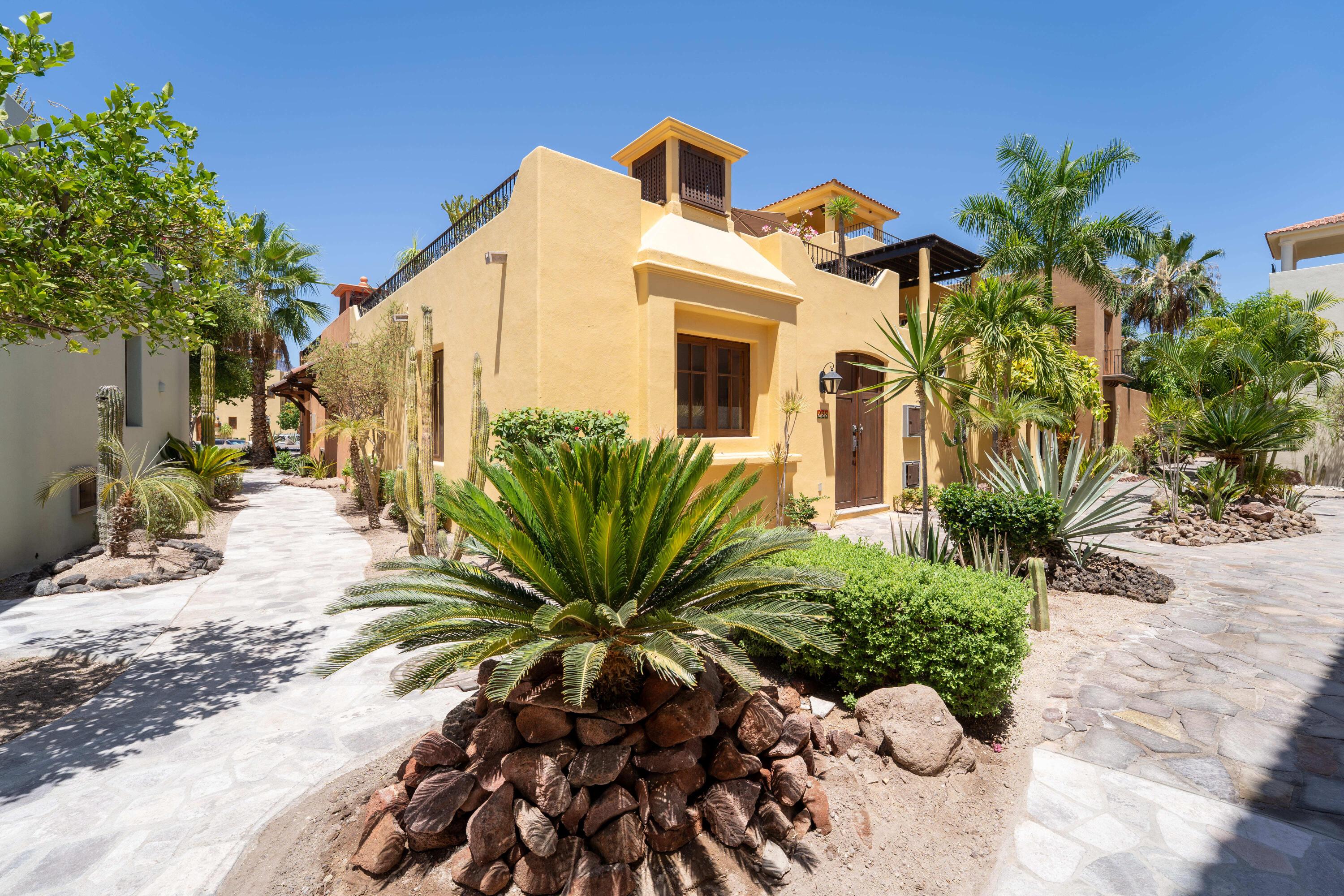 Agua Viva 228, Loreto